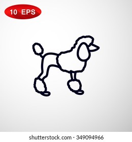 French poodle vector icon