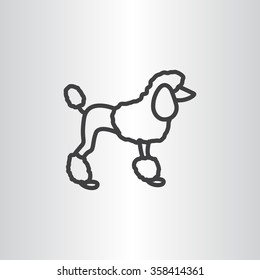 French poodle vector icon