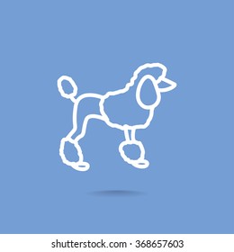 French poodle vector icon
