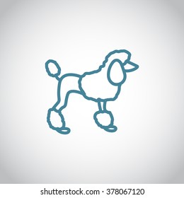 French poodle vector icon