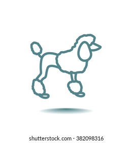 French poodle vector icon