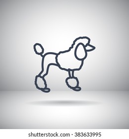 French poodle vector icon