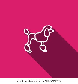 French poodle vector icon