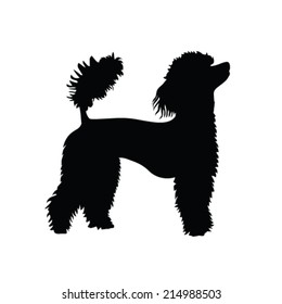 French Poodle Vector Silhouette