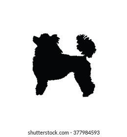 French poodle vector silhouette