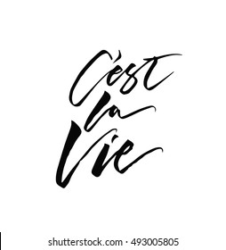 French quote C'est la vie meaning This is Life. Unique hand drawn inspirational quote. Hand lettering for print or web (bags, t-shirts, home decor, posters, cards, banners, blogs, ads)