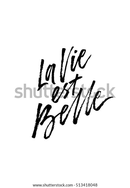 French Quote La Vie Est Belle Stock Vector Royalty Free