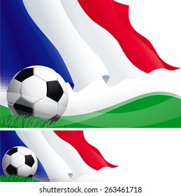 French soccer. Vector background and banner of soccer ball and French flag on green grass.  