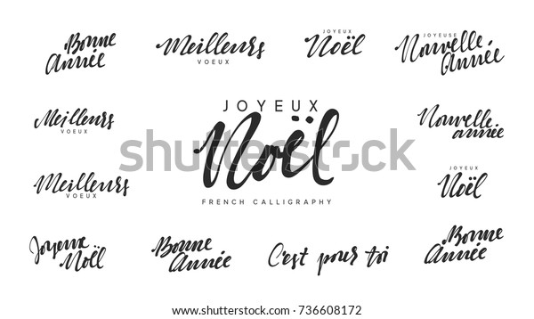 フランス語のテキスト Joyeunoel Meilleurs Voeux Bonne Anee 聖降誕祭お目出度う 新年お目出度う 墨書 のベクター画像素材 ロイヤリティフリー