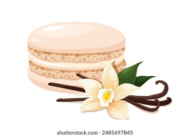 French vanilla macaron dessert with vanilla pods and fresh flower near.