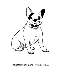 French-Bulldog vector hand drawing illustration in black color isolated on white background