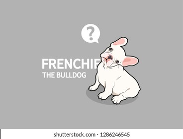 Frenchie The Bulldog Has A Doubt. French bulldog with rotation head posture.