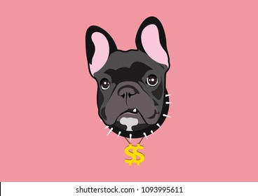 Frenchie El Dinero. Perro francés negro fuerte con estilo Hip Hop. Lleva puesto un collarín de oro y un collarín negro.