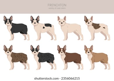 Frenchton clipart. French bulldog Boston terrier mix. Different coat colors set.  Vector illustration