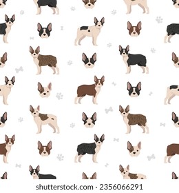 Frenchton seamless pattern. French bulldog Boston terrier mix. Different coat colors set.  Vector illustration