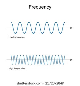 Frequency. Low And High Frequency waves. physics. vector illustration