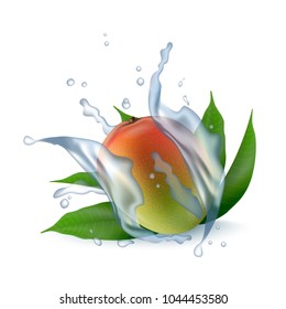Fresh 3d realistic mango with water milk yogurt splash drops isolated on a white background. Packaging template. Realistic organic fruit dairy product. Vector EPS10.