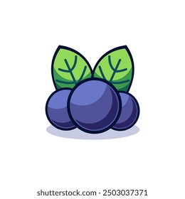 fresh acai berry healthy fruit vector illustration template design