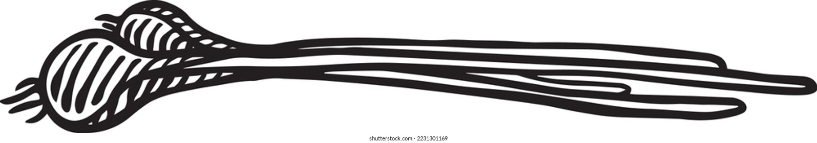 Fresh agricultural products harvested from the farm engraving_scallion