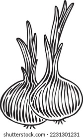 Fresh agricultural products harvested from the farm engraving_onions