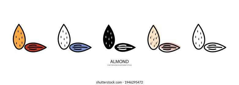 fresh almond vector type icon