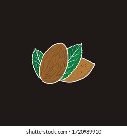 Fresh almonds, leaves and peel, vector illustration