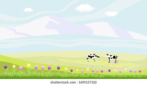 Fresh alpine meadow, mountains, cows. Flower field with tulips. Vector illustration.