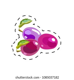 Fresh appetizing fruit for cafe, restaurant or shop element. Vector illustration of vegetable sticker