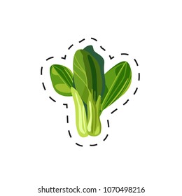 Fresh appetizing vegetable for cafe, restaurant or shop element. Leaf of lettuce. Vector illustration of vegetable sticker