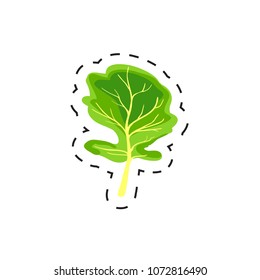 Fresh appetizing vegetable for cafe, restaurant or shop element. Leaves of lettuce. Vector
