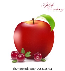 Fresh apple and cranberry design elements isolated on white background. Berries set with leaves. Apple fruit for fresh juice for packaging or web. 3d illustration vector EPS 10.