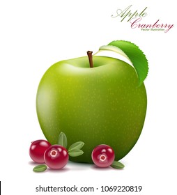 Fresh apple and cranberry design elements isolated on white background. Berries set with leaves. Apple fruit for fresh juice for packaging or web. 3d illustration vector EPS 10.
