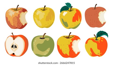 Fresh apple fruit set. Yellow, red and green apple, whole, cut, bite fruits collection. Healthy sweet vitamin summer food. Natural eating. Flat vector illustration isolated on white background