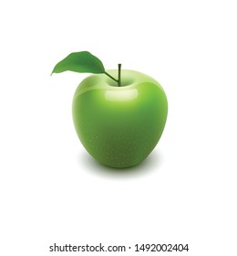 fresh apple green leaf realistic illustration vector