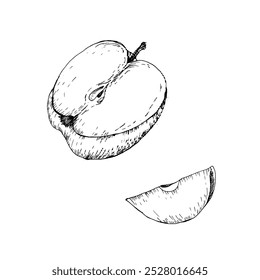 Meia peça de maçã fresca e gráficos de tinta de vetor de fatia. Comida da estação da colheita desenhada à mão, vegetariano saudável que come esboço no estilo da arte da linha para etiqueta sazonal, logotipo do mercado, web, design têxtil da cozinha