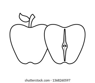 fresh apple with slice fruit isolated icon