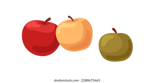 Fresh apples composition. Ripe fruits of different color. Healthy vitamin organic food, sweet whole natural sweet and sour eating. Flat cartoon vector illustration isolated on white background