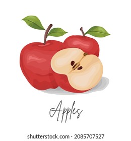 Fresh apples fruit vector illustration. Red  apples, half an apple withgreen leaf on white background.
Bright vector illustration of fresh apples. Health food.