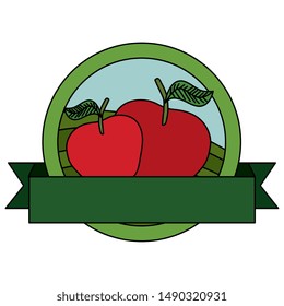 fresh apples fruits with ribbon seal