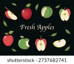 Fresh apples vector illustration with red and green apples and slices
