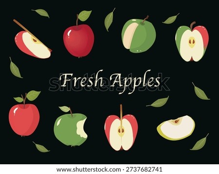 Fresh apples vector illustration with red and green apples and slices

