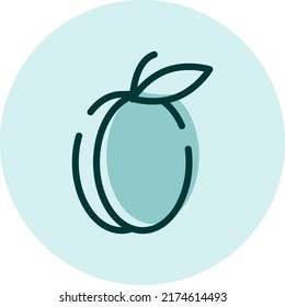 Fresh appricot, illustration, vector on a white background.