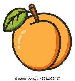 fresh apricot fruit food healthy nature flat color vector illustration template design
