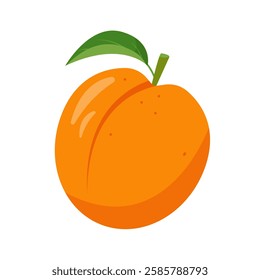 Fresh apricot fruit icon. Organic apricot fruit for juice, smoothie or vitamin healthy food and dessert. Vector icon illustration isolated on white background.