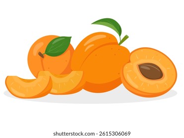 Fresh apricot fruits and pieces. Organic apricot fruit for juice, smoothie or vitamin healthy food and dessert. Vector icon illustration isolated on white background.