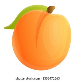 Fresh apricot icon. Cartoon of fresh apricot vector icon for web design isolated on white background