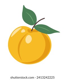 Fresh apricot with leaves, nutritious summer fruit rich in vitamins and minerals. Garden or farm fruit for eating and detoxing. Healthy and organic, delicious food or snack. Vector in flat style