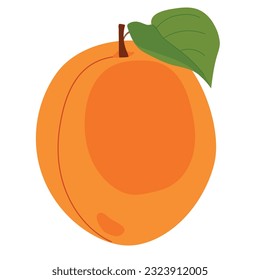 Fresh apricot on a white background. Vector. Summer orange fruit. Flat style illustration for packaging juice, jam.