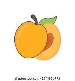 Fresh apricot vector art for designers