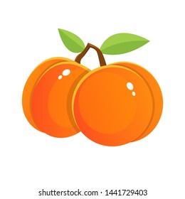 Fresh Apricot Vector Design Illustration Isolated On White Background